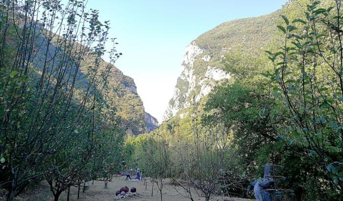 Quando l'arte è una festa collettiva: torna Land Art al Furlo Quando l'arte è una festa collettiva: torna Land Art al Furlo