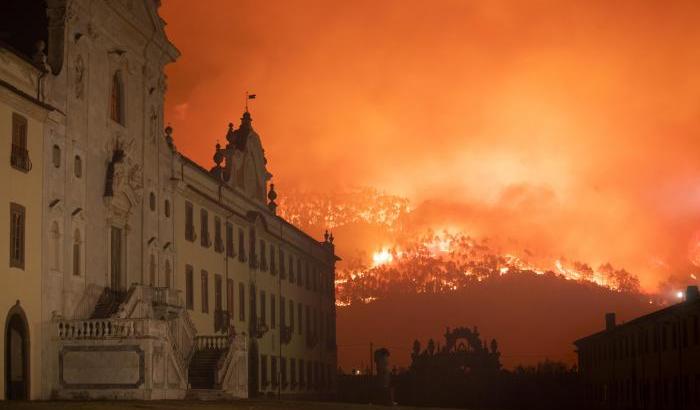 Il Fai: il Monte Pisano bruciato è il primo "Luogo del cuore" da recuperare