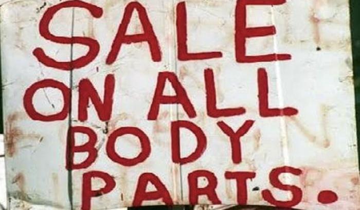 “Vite a perdere” sul traffico di organi: quando il corpo è merce