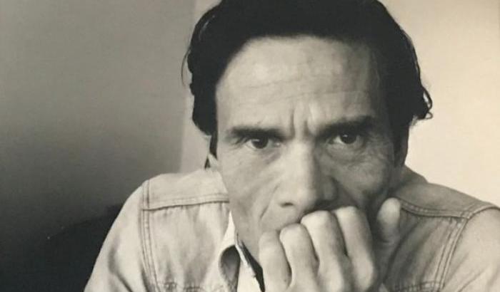 A Casarsa torna la Scuola Pasolini con Walter Siti