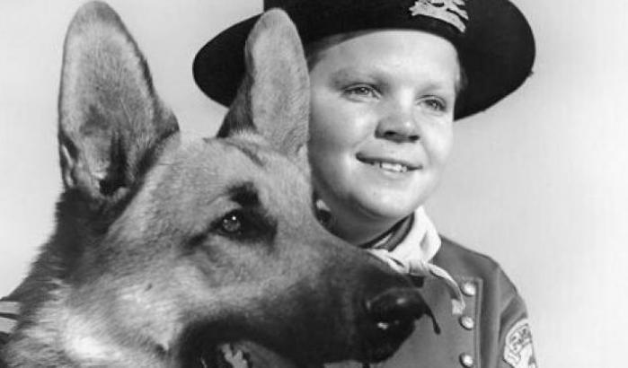 Addio a Lee Aaker, il baby attore amico di Rin Tin Tin