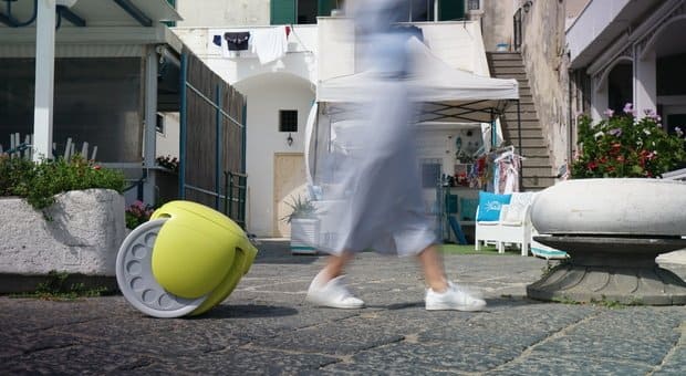 Gita: un nuovo abitante per l’isola di Procida