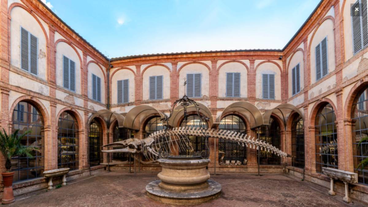 Siena, un festival per la salute dei cittadini