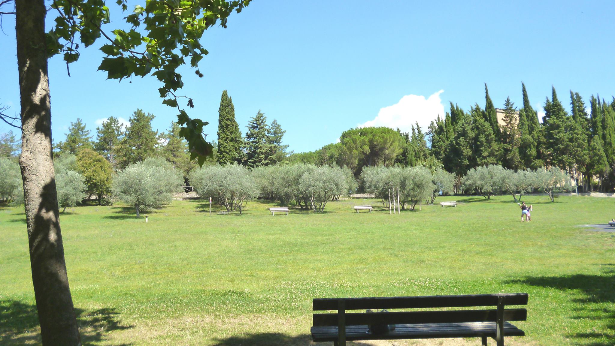 Arezzo: al via''Genius Loci. Le molte voci di un luogo'' per il recupero del Parco del Pionta