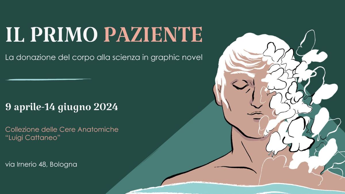 "Il Primo Paziente": la mostra che racconta la donazione del corpo alla scienza in graphic novel