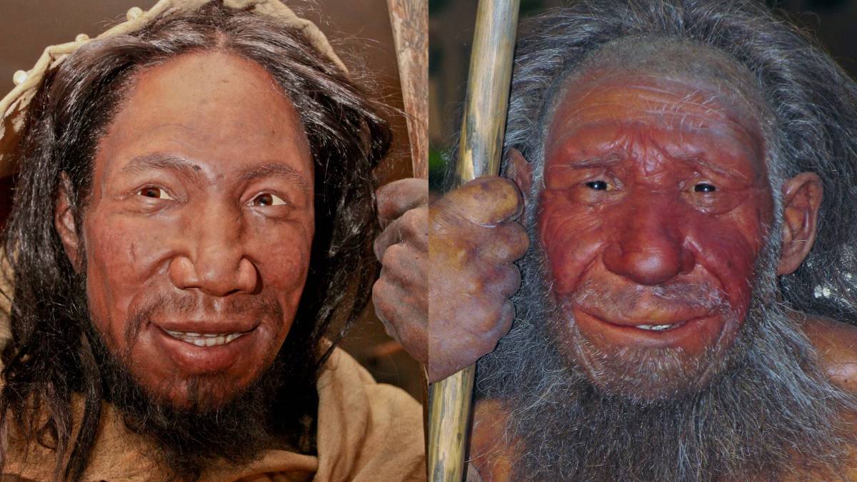 Neanderthal e Homo Sapiens non si incontrarono mai nel Sud Italia