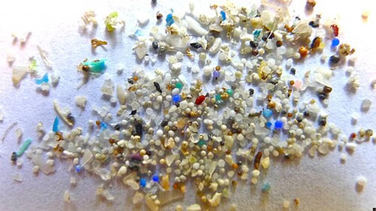 Microplastiche nelle profondità oceaniche, l'Università di Siena partecipa allo studio
