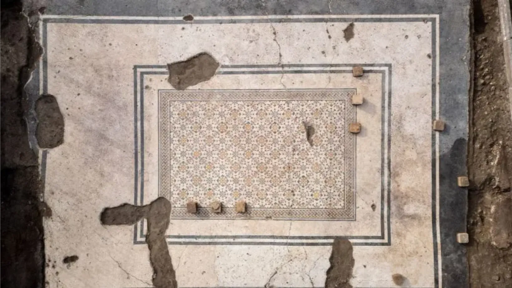 Il mosaico del “tappeto fiorito" sarà finalmente visibile 