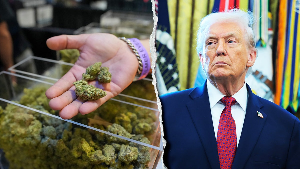 Trump riclassifica la marijuana: non è più considerata al pari dell'eroina